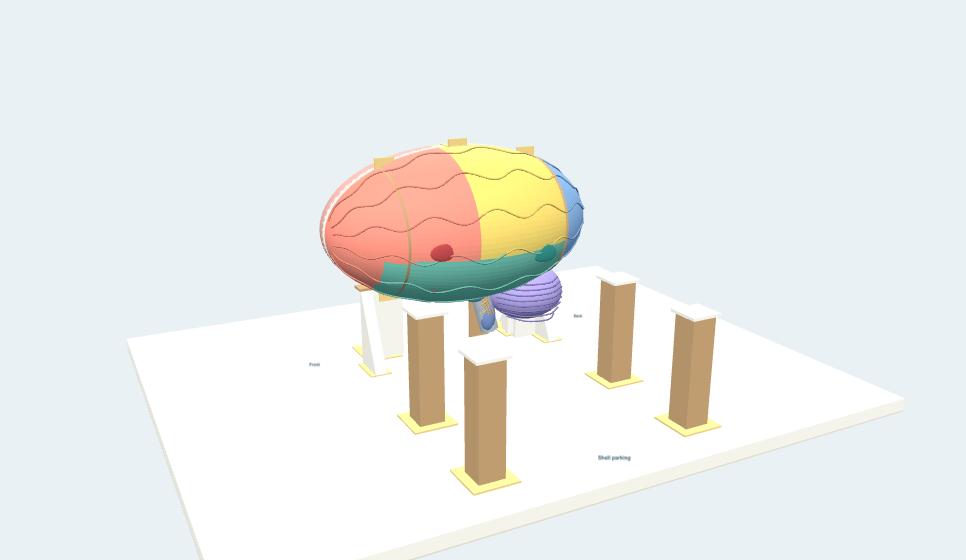 Schematic brain model with temporal cover removed